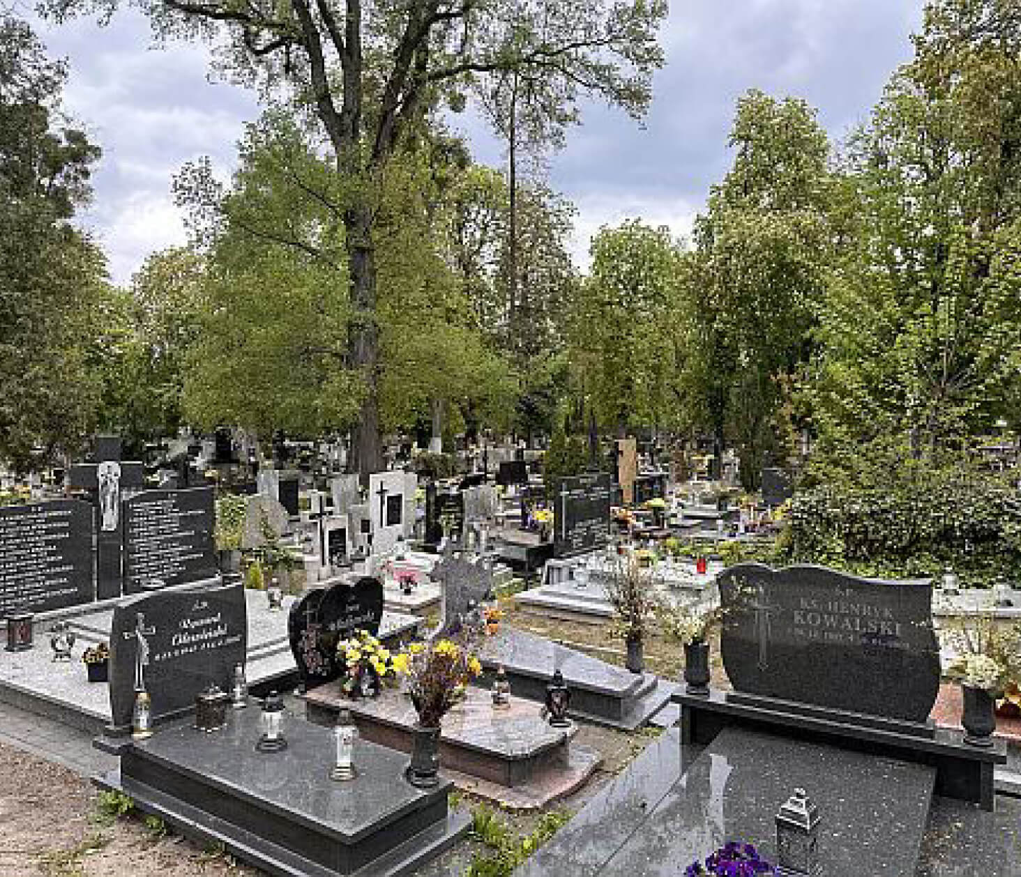 Cmentarz Antczaka Toruń