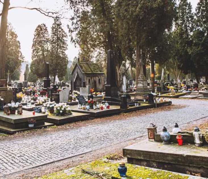 Cmentarz Cmentarna Gniewkowo