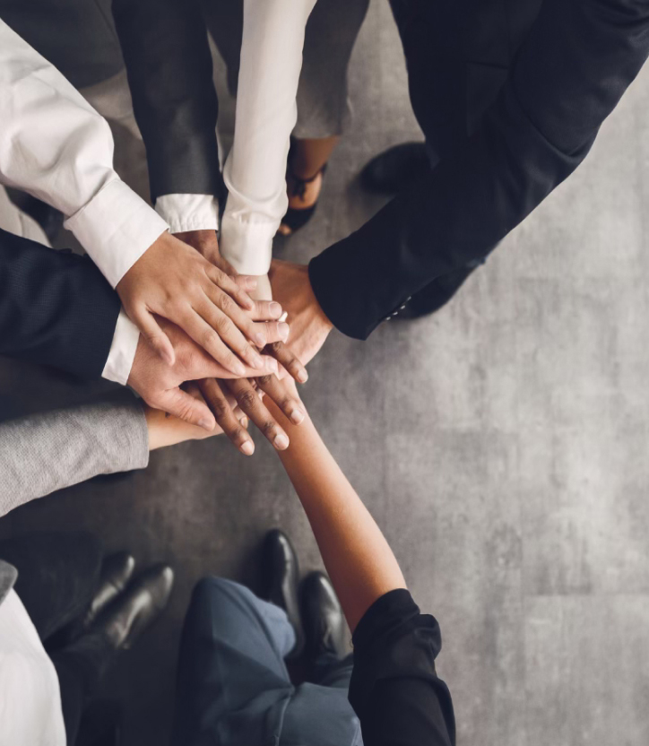 Poznaj naszych partnerów